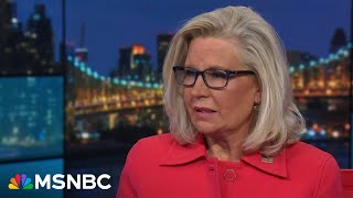 Cheney to Republicans: 'We have a particular duty to step up' against Trump