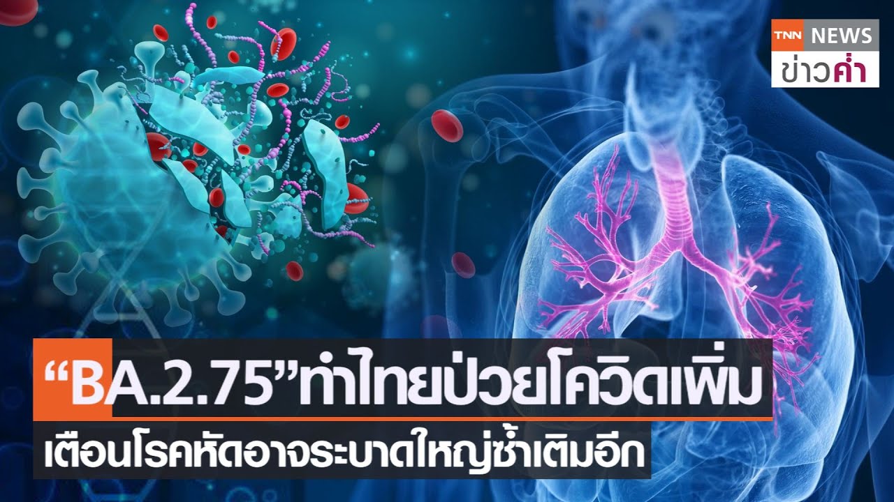 “BA.2.75”ทำไทยป่วยโควิดเพิ่ม เตือนโรคหัดอาจระบาดใหญ่ซ้ำเติมอีก | TNN ข่าวค่ำ | 24 พ.ย. 65