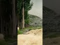 #floot #shorts #shortvideos #gilgitbaltistan #pakistan#trending #duet