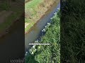 Abenteuer Auf Englischen Wanderwegen