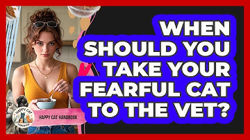 When Should You Take Your Fearful Cat To The Vet? - Happy Cat Handbook