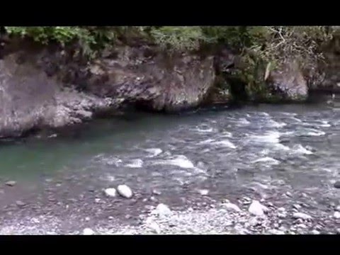 NEW ZEALAND MOUNT HOLDSWORTH CAMP OR TRAMP PARK