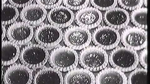 History of Computers part 2 BBC Documentary.mp4