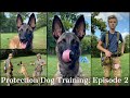 Teaching My Son To Train Protection Dogs Episode 2 | Malinois & Dutch Shepherd