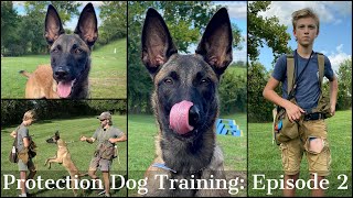 Information Teaching My Son To Train Protection Dogs Episode 2 | Malinois & Dutch Shepherd News