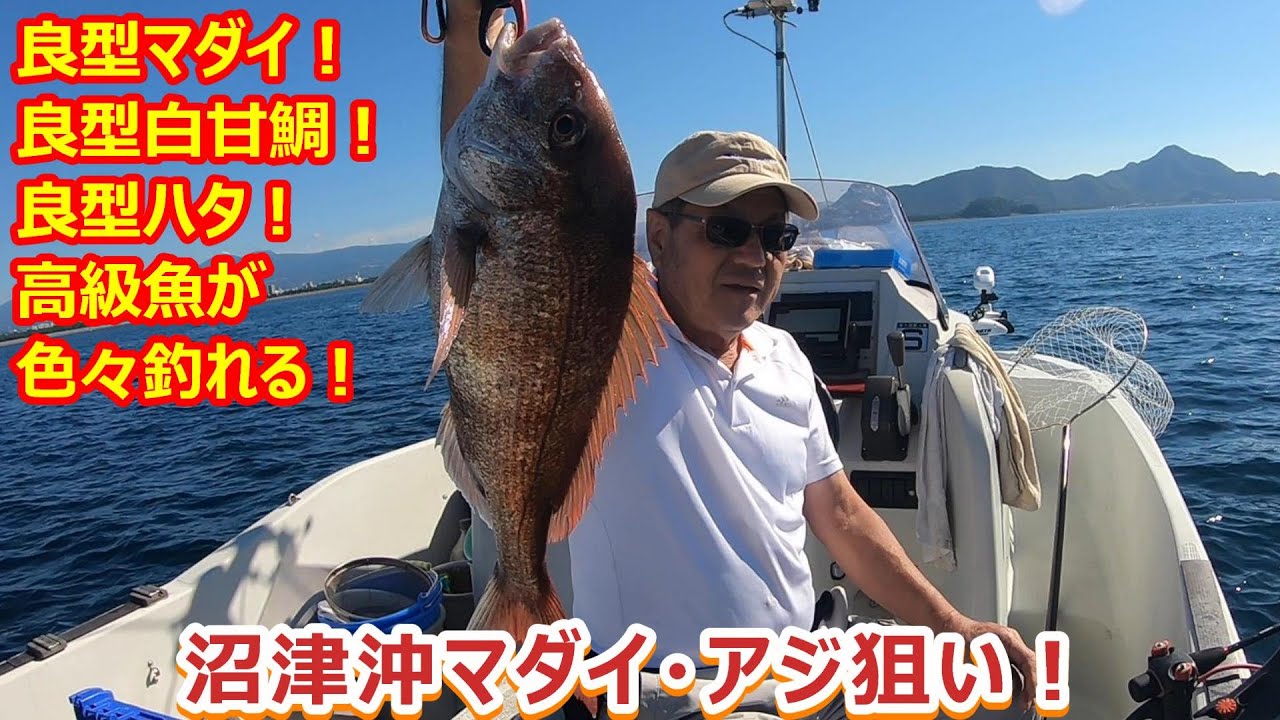 ＃118　沼津沖でマダイとアジ釣り！