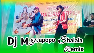 Dj Mapopo Shalala Remix Stage Cover Dance Special (Saraswati Puja) Venue Kashra 2024