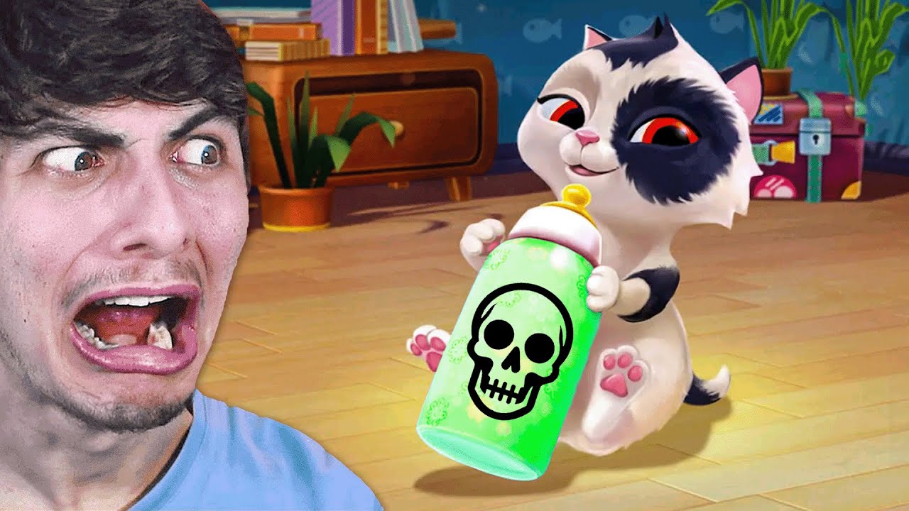 J’AI VOULU ADOPTER CE CHAT BIZARRE MAIS…