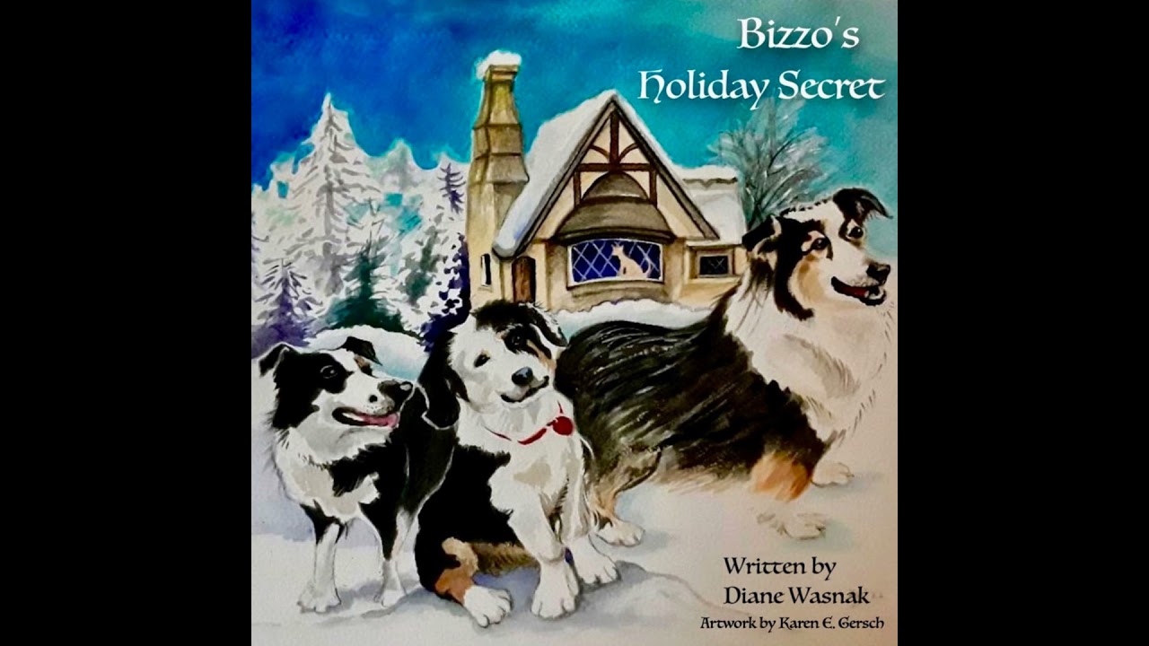Bizzo's Holiday Secret • Episode 3 - The Visitor