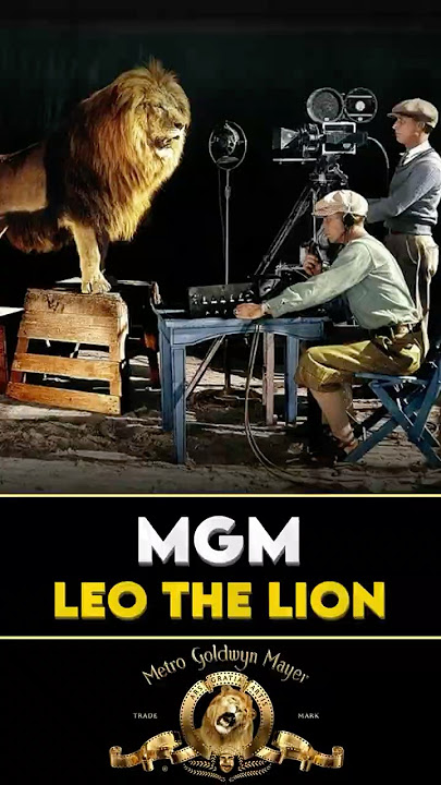 The Real Lion Behind the MGM Logo #leothelion