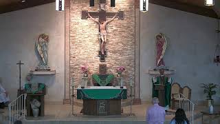 StStephenBulldogs Live Stream