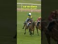 I am maximus wins the 2024 grand national 