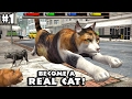 Ultimate Cat Simulator By Gluten Free Games - Android/iOS - Gameplay Episode 1