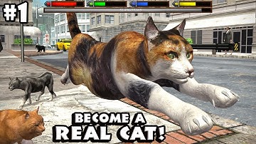 Ultimate Cat Simulator By Gluten Free Games - Android/iOS - Gameplay Episode 1