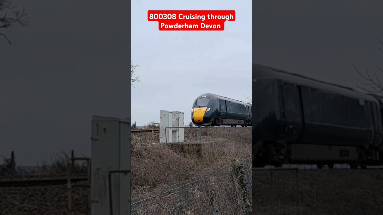 800306 cruising through Powderham 