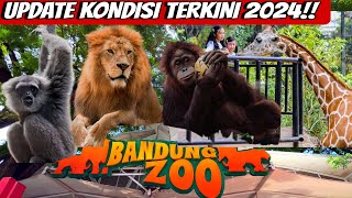 BANDUNG ZOO TERBARU 2024 ‼️REVIEW KONDISI TERKINI KEBUN BINATANG BANDUNG‼️