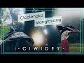 Cicalengka - Manglayang - Ciwidey