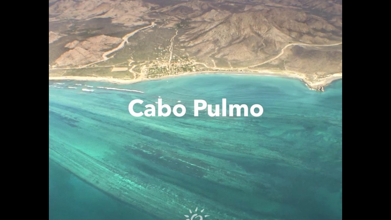 Cabo Pulmo, Los Cabos - YouTube