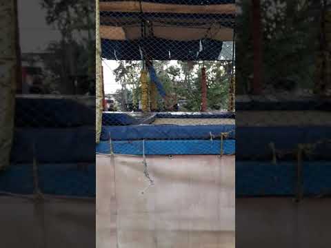 اسماعيل حلاق