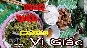Tiếng dân tộc - Học tiếng Mường. Phần 30: Vị giác | Trai Xứ Mường
