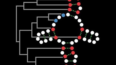 Functional annotation of non-coding RNA