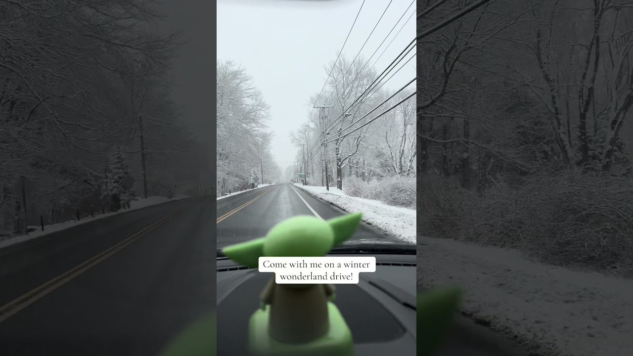 Come with me on a #winter #drive #snow #scenicdrive  #shortsvideo  #shorts