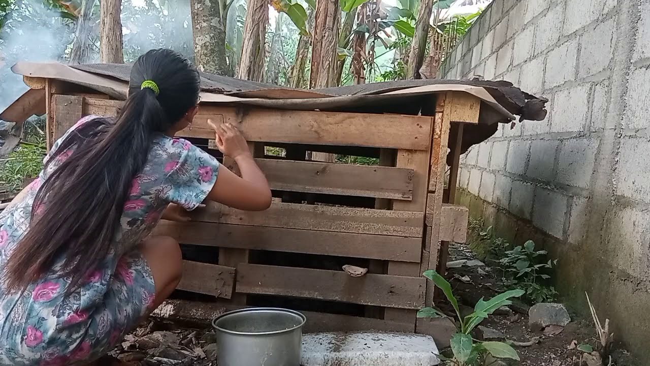 Pakan Alternatif Untuk Bebek Pedaging