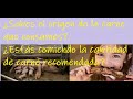 ¿Sabes el origen de la carne que consumes?¿Qué podemos hacer para evitar   la explotación animal?