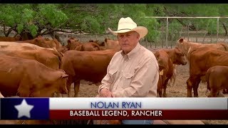 Nolan Ryan's Texas Cattle Ranch  Lawrence Weibman Writer, Producer & Director