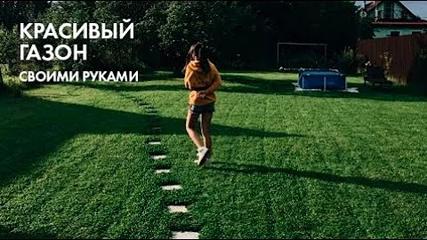 Все о газоне. Выбор, посадка, уход