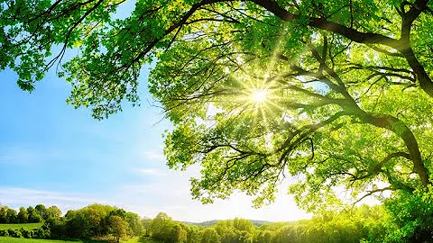 PAS 2060 - The Journey to Carbon Neutrality