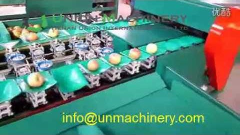 double line type fruit and vegetable sorting machine