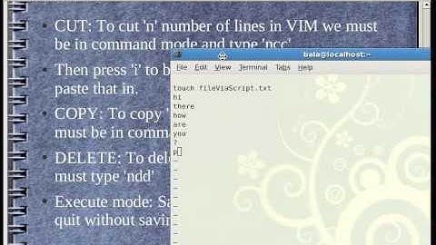 RH033-3 Scripts VIM editor Tamil.avi