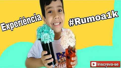 O que determina a cor da flor?