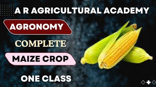 class 7#maize crop #agronomy # 2020 | | By AVDHESH KUMAR | BHU AND UPCATET