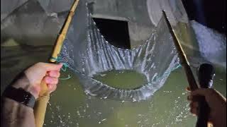 밤 옥산보 대물들이 몰려 있다! 1인칭 여름 영상!