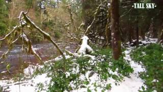 Virtual Hike Riverside Forest In Winter -Rock N Roll - 30Min