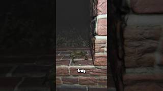 What Hides Under The Frog Skin  