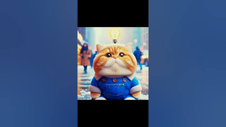 мем про котика и бургер