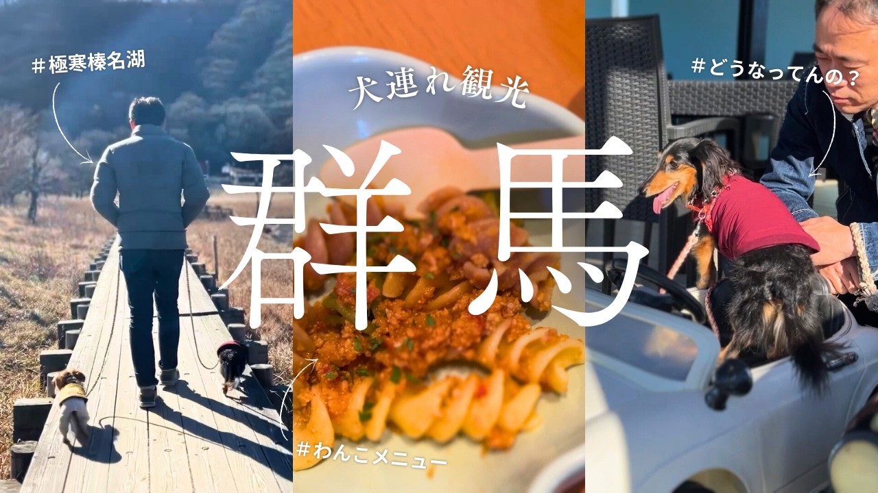 【犬連れ旅行群馬観光】榛名湖が寒すぎて緊急避難したドッグラン付きカフェでめちゃくちゃ楽しむ愛犬🐶🐶1泊2日わんこ旅3/3 2024.11