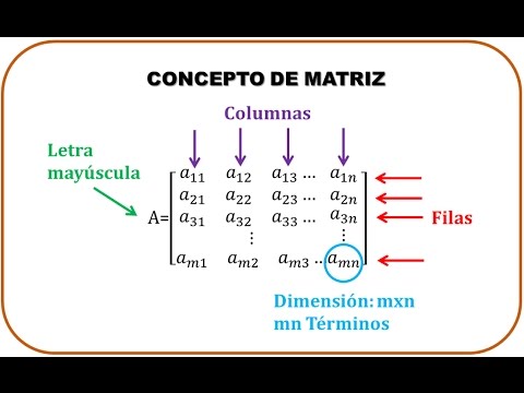 Matrices y Determinantes. Parte 1 (Conceptos) - YouTube