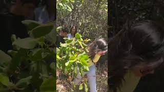 Sempre teremos uma oportunidade de melhorar nossa qualidade de vida e do planeta.