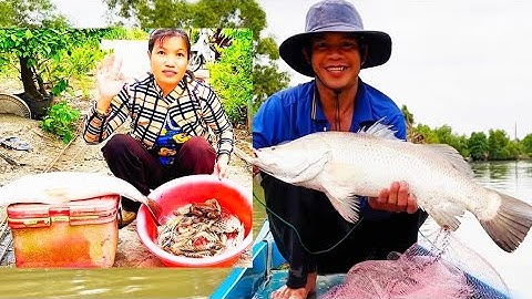Hôm nay đi chài dính cá 🐟 chẻm khủng và nhiều tôm 🦐 sú bự cuộc sống mưu sinh “ Hoàng Lê Vlog “