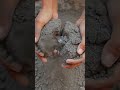 ASMR donut crumblling🍩#oddlysatisfying #crunchycrumbles #subscribe #shortvideo
