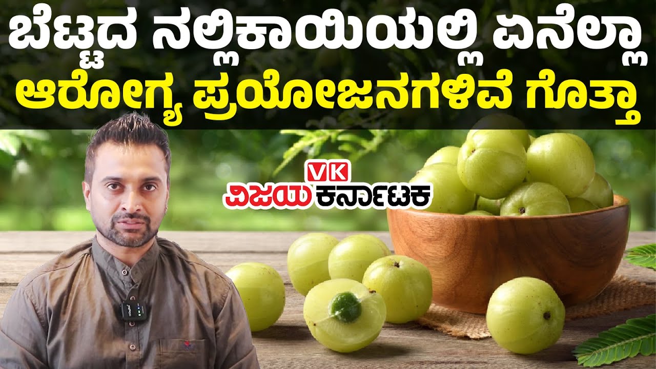 Amla: ಬೆಟ್ಟದ ನೆಲ್ಲಿಕಾಯಿ ತಿನ್ನೋದ್ರಿಂದ ಇಷ್ಟೆಲ್ಲಾ ಲಾಭಗಳಿವೆ? |  Vijay Karnataka