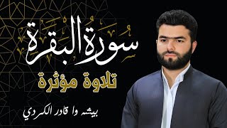 سورة البقرة - تلاوة مؤثرة 😭 للقارئ بيشه وا قادر الكردي | Surah Al Baqarah - Peshawa Qadir Al Kurdi