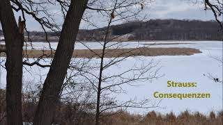 Eduard Strauss: Consequenzen