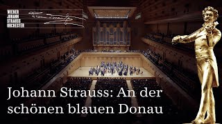 Johann Strauss II: The Blue Danube / Waltz op. 314 | #NYC2024 | #NewYearsConcert ♪♫