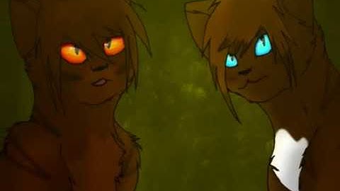 Hawkfrost AMV The wrong way