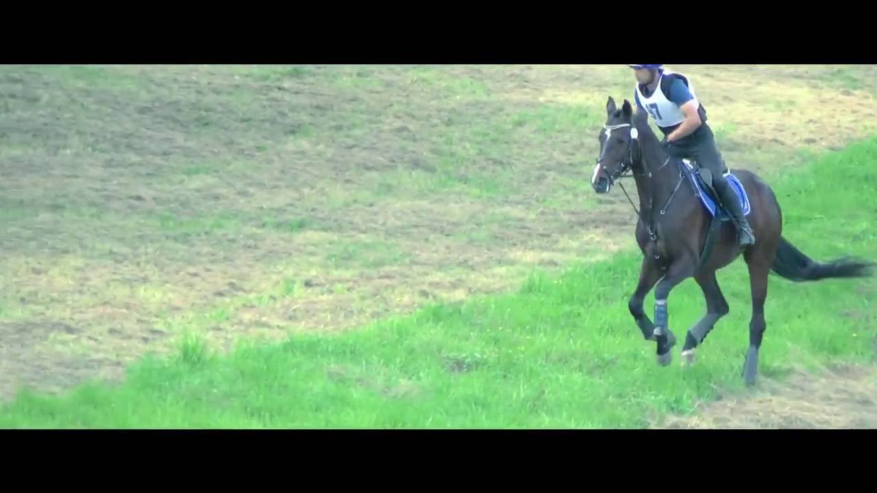 Конный Клуб "Гелиос". Троеборье в кск "Битца". - YouTube